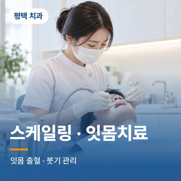 스케일링 · 잇몸치료